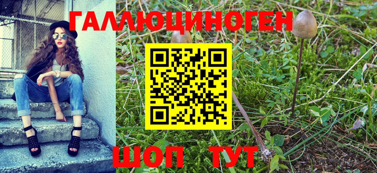 Галлюциногенные грибы прущие грибы Лениногорск