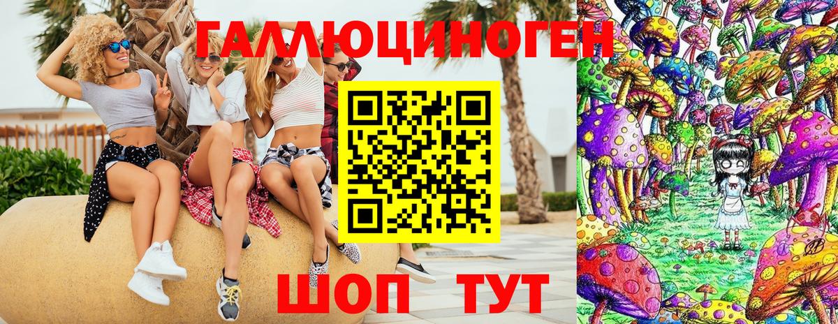 Галлюциногенные грибы Psilocybine cubensis  Вход с VPN  Лениногорск  Псилоцибиновые грибы мухоморы 